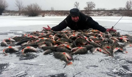 Дни клева рыбы