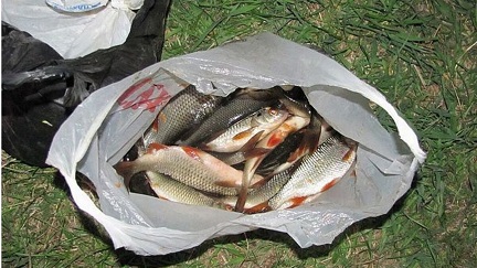 Как сохранить улов